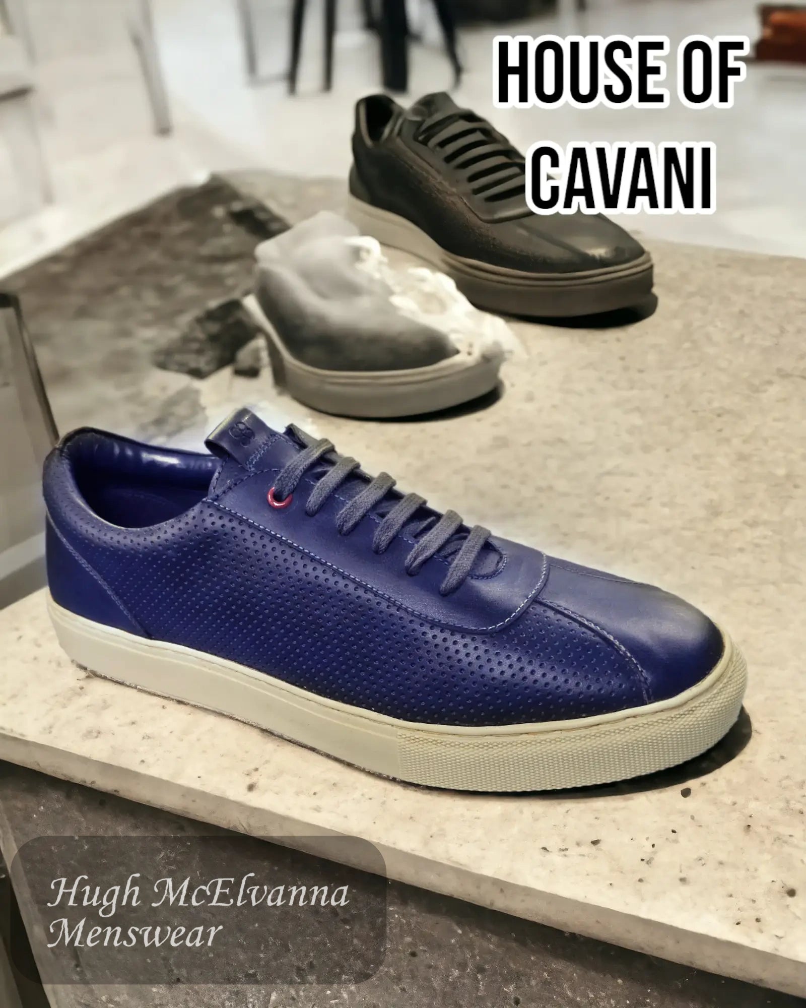 House of Cavani Navy CONTEST shoe - Hugh McElvanna Menswear 