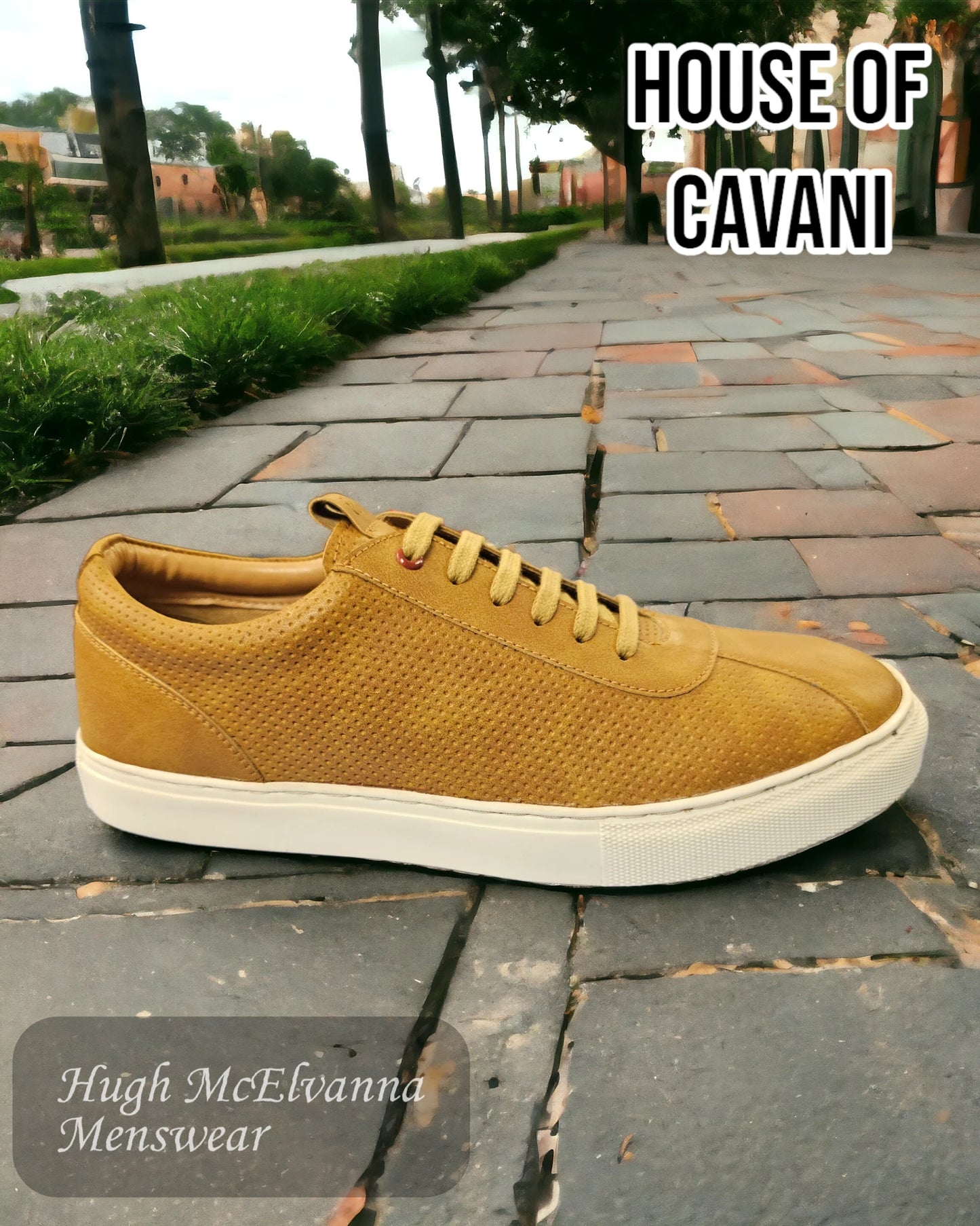 House Of Cavani CONTEST TAN Shoe