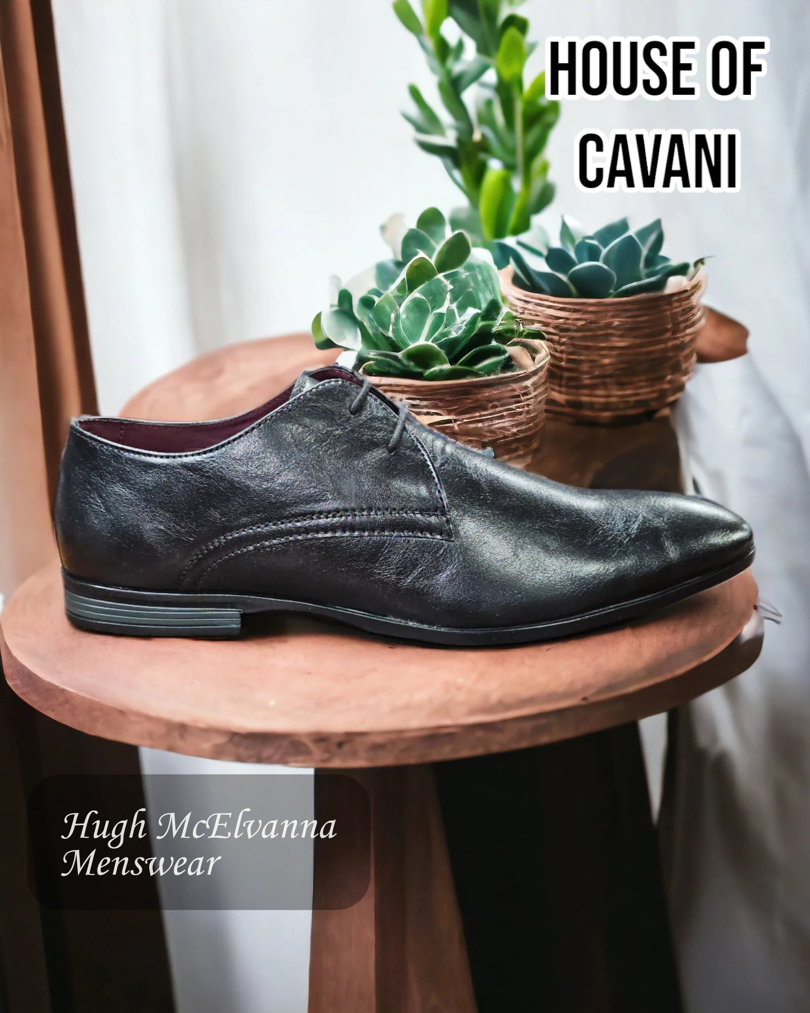 House Of Cavani MALPI Black Laced Shoes - Hugh McElvanna Menswear 