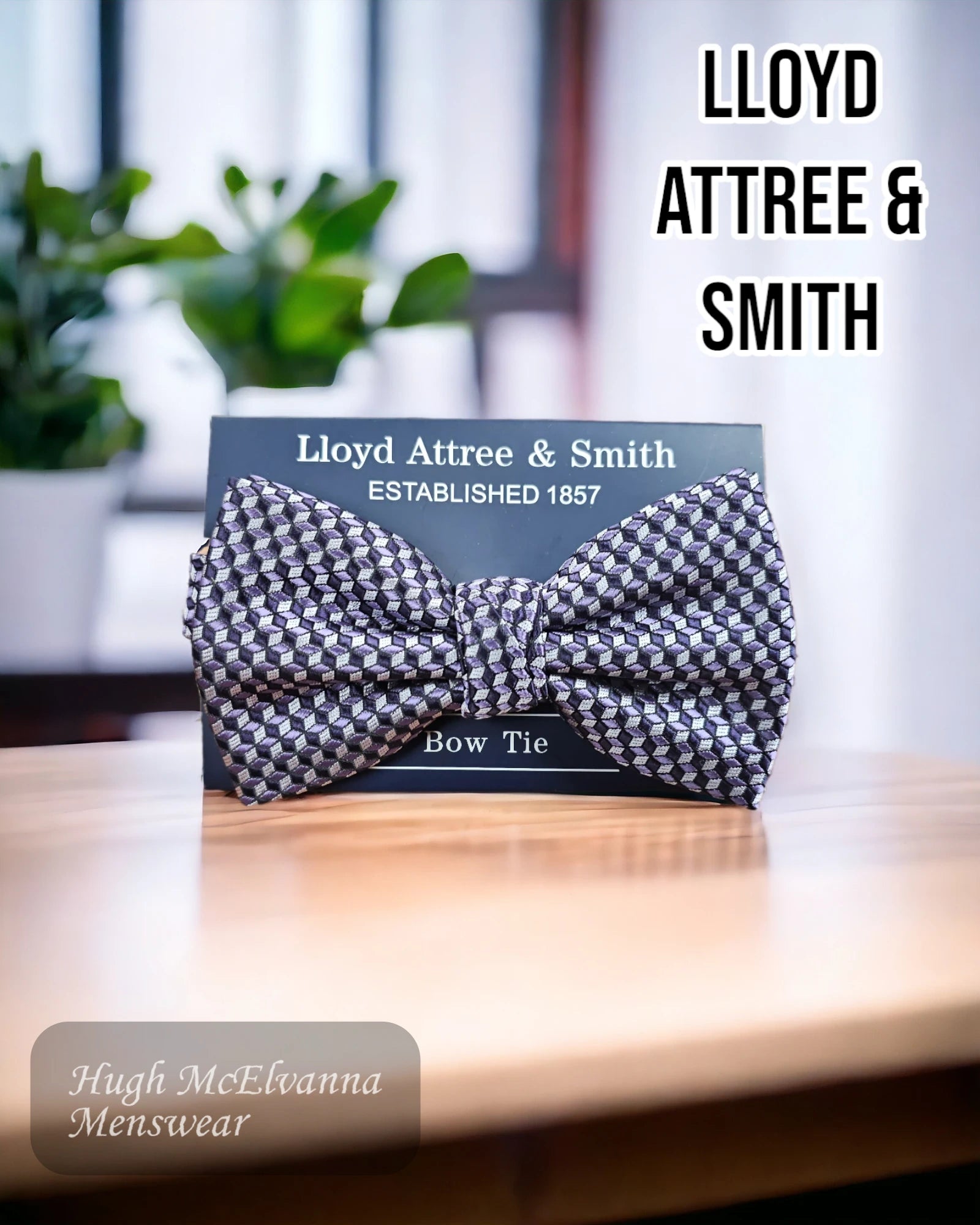 Lloyd Attree & Smith Bow Tie - B3738/2 - Hugh McElvanna Menswear 