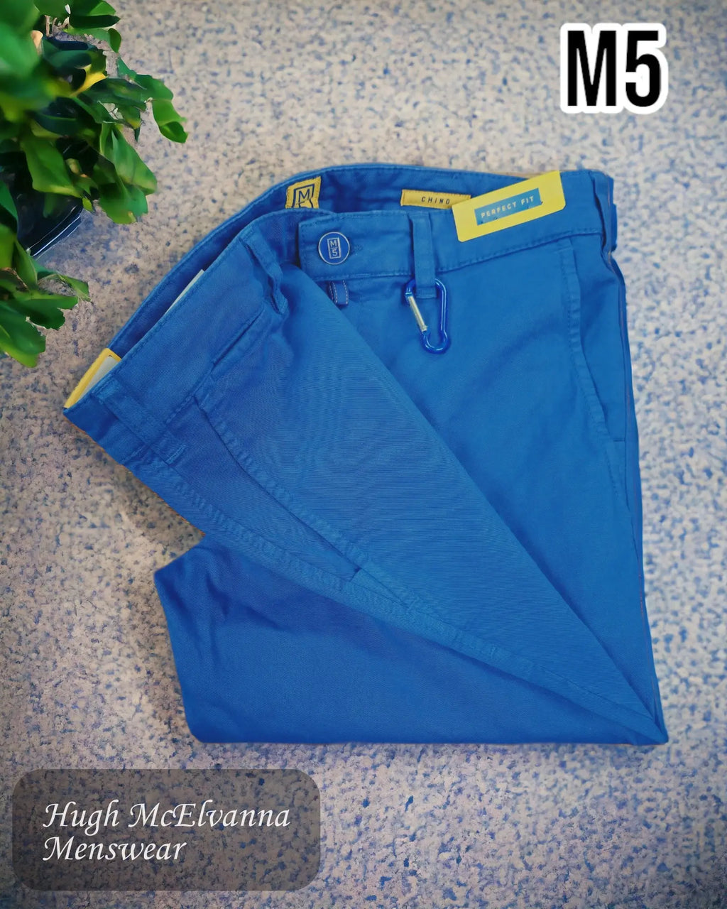 M5 Royal Blue Chino by Meyer - 6001/16